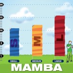 Winnnipeg Flags Mamba Style